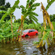 You can thank soon-to-be Tropical Storm Barry for all that water.
